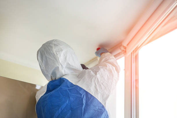 Best Asbestos and Lead Testing During Mold Inspection  in Tallapoosa, GA