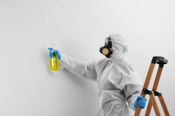 Best Biohazard Mold Removal  in Tallapoosa, GA